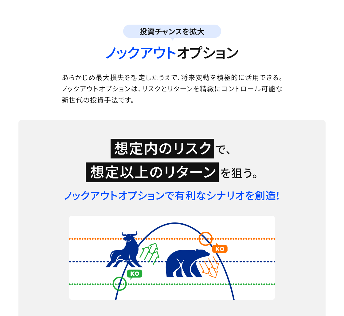 投資チャンスを拡大 ノックアウトオプション